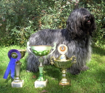 Dream Girl von Adam´s Zotteln